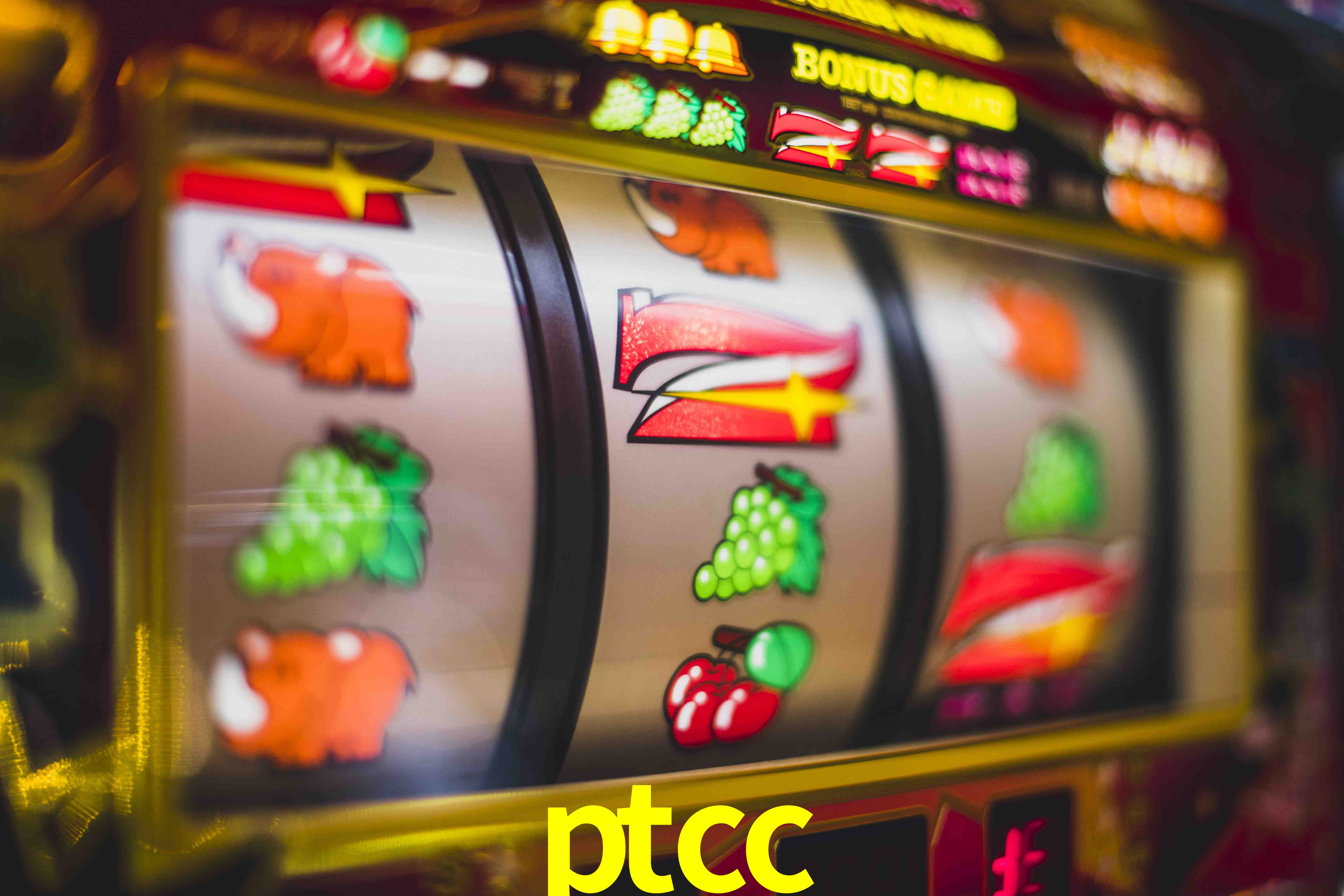 Live Casino ptcc